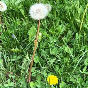 Meet your Posher, Mingwai